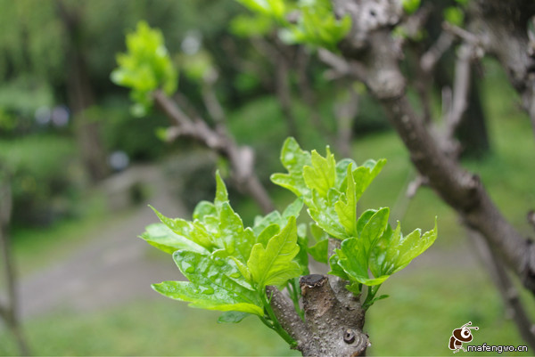 紹興景點(diǎn)圖片